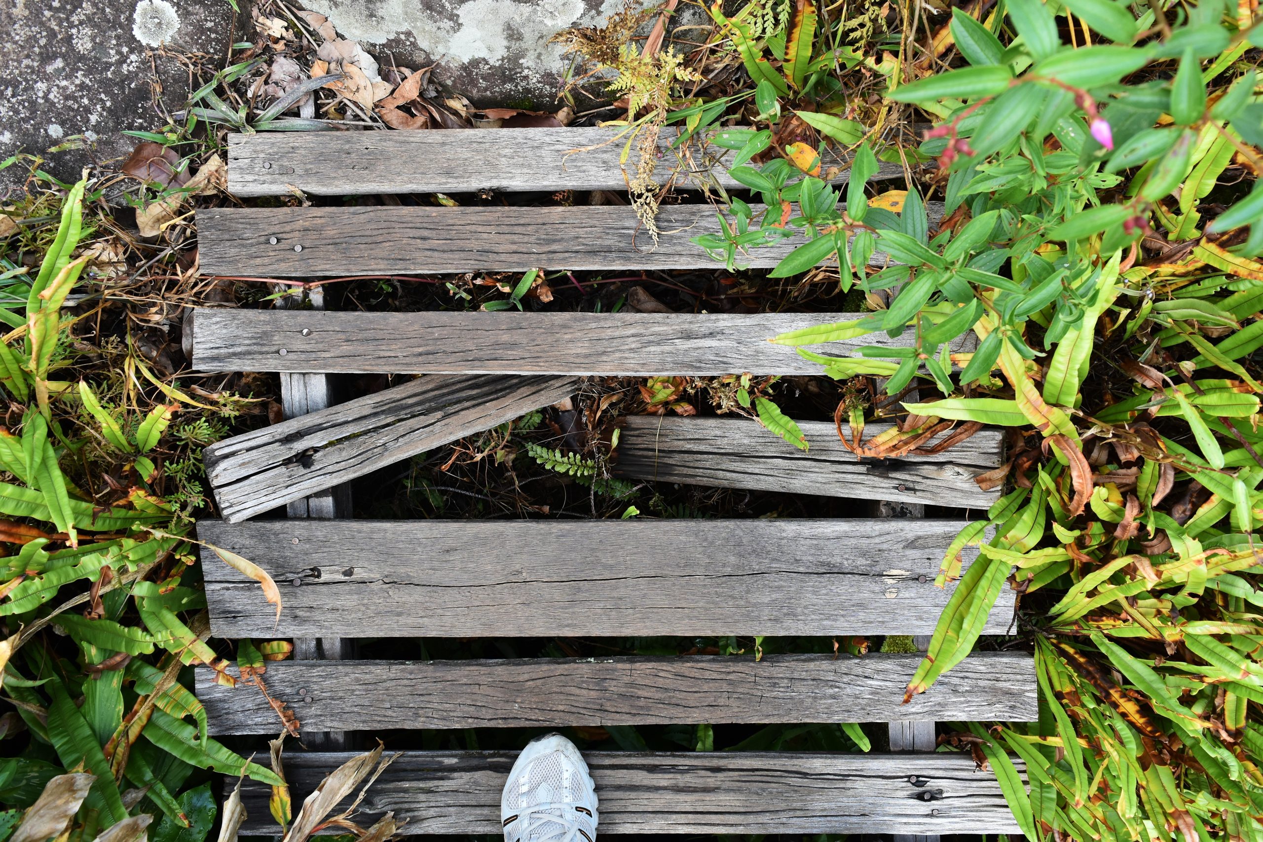 old and dirty broken wood bridge on walk way