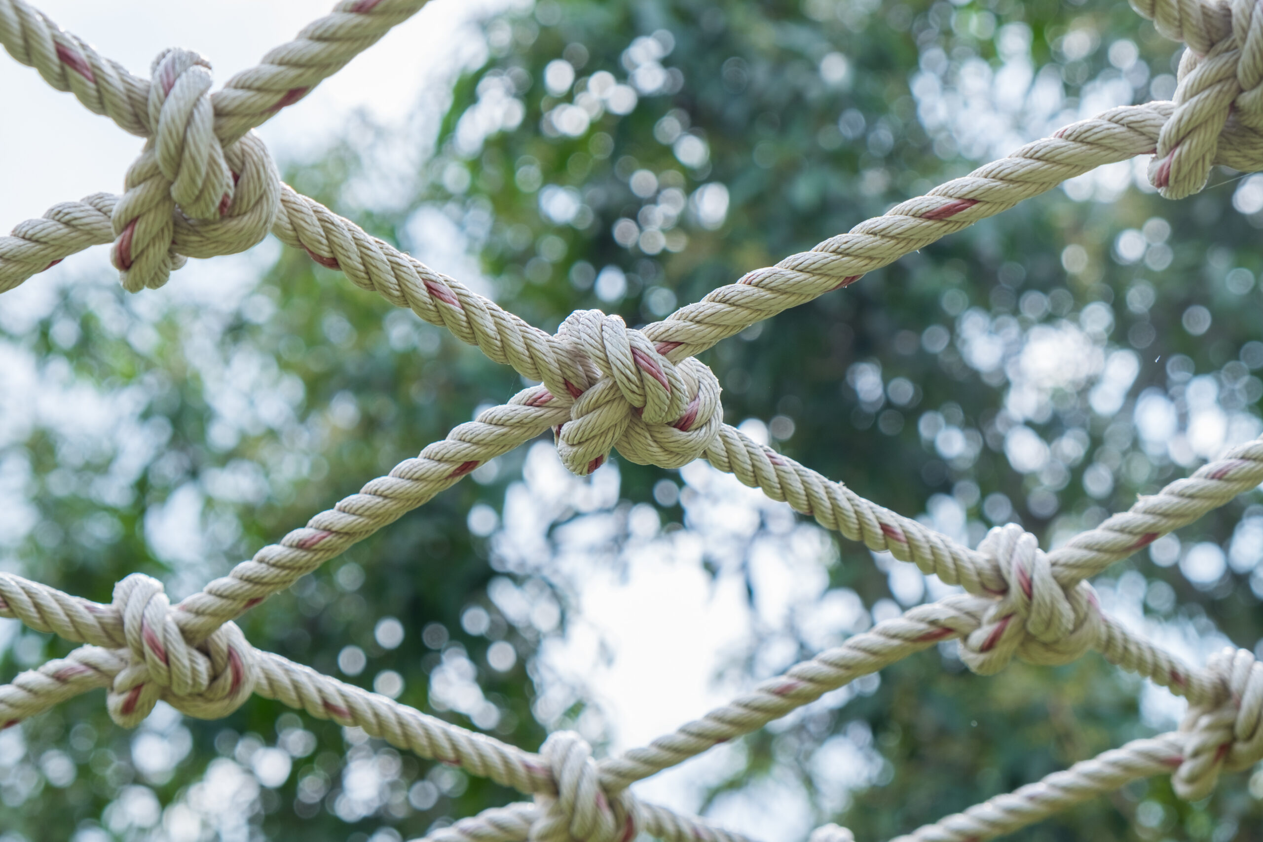 Many Coil of rope with nature background.