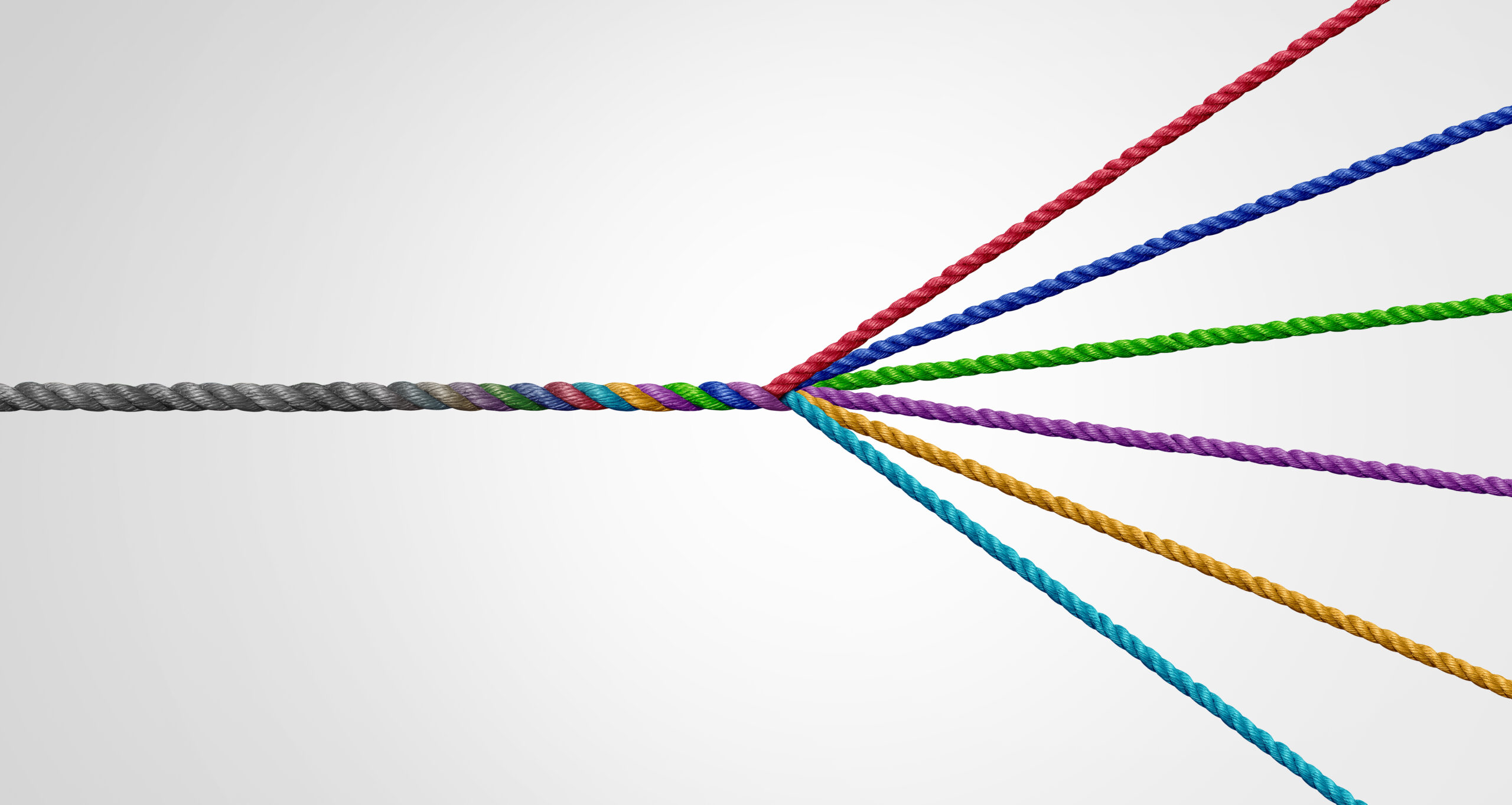 Diversification  strategy as a business concept to diversify as a success plan for market growth as a group of ropes representing diversity and a portfolio with variety spreading out to manage risk.