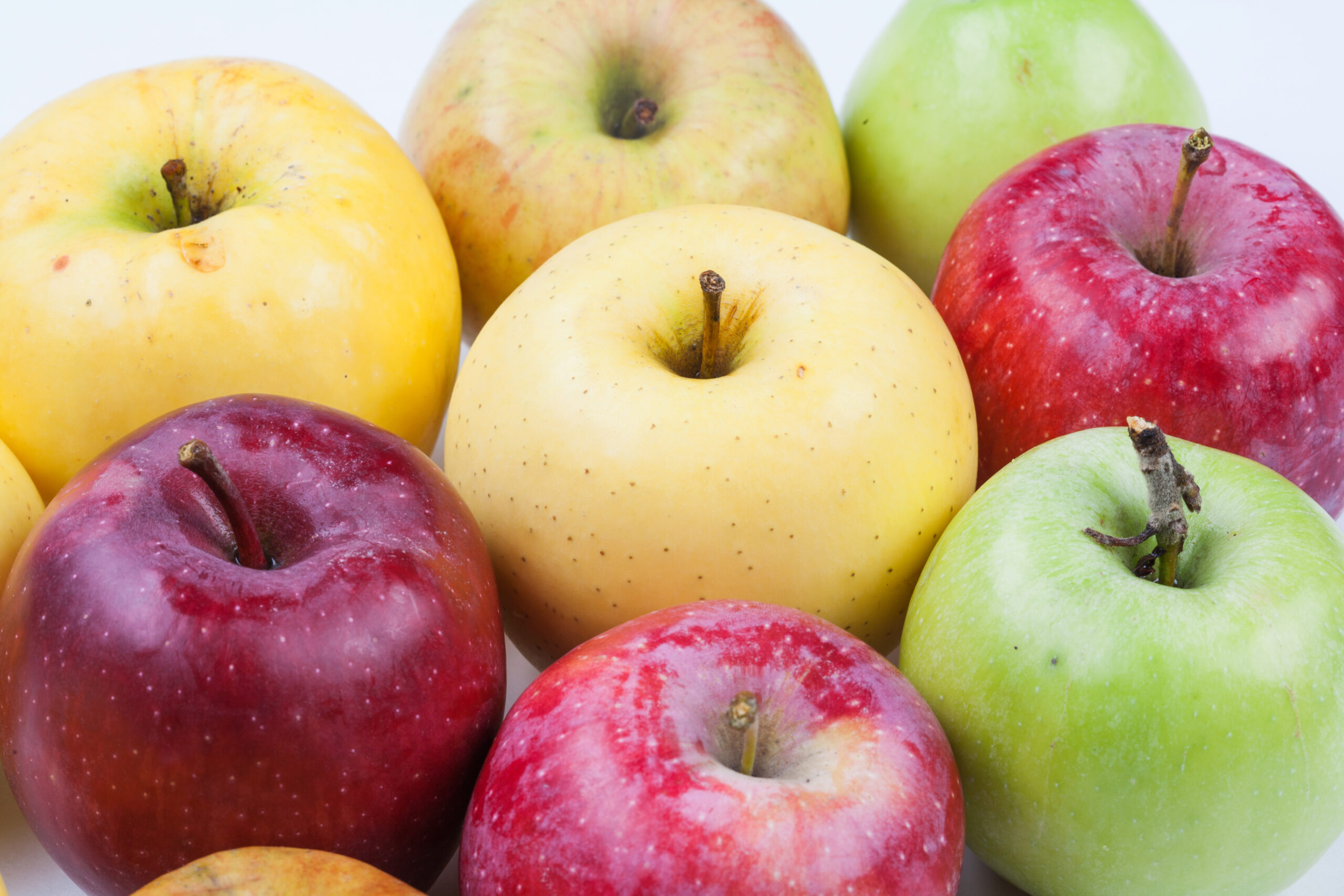 Ripe apples assortment different types. Macro view organic apple fruits red yellow green color. Macro view.