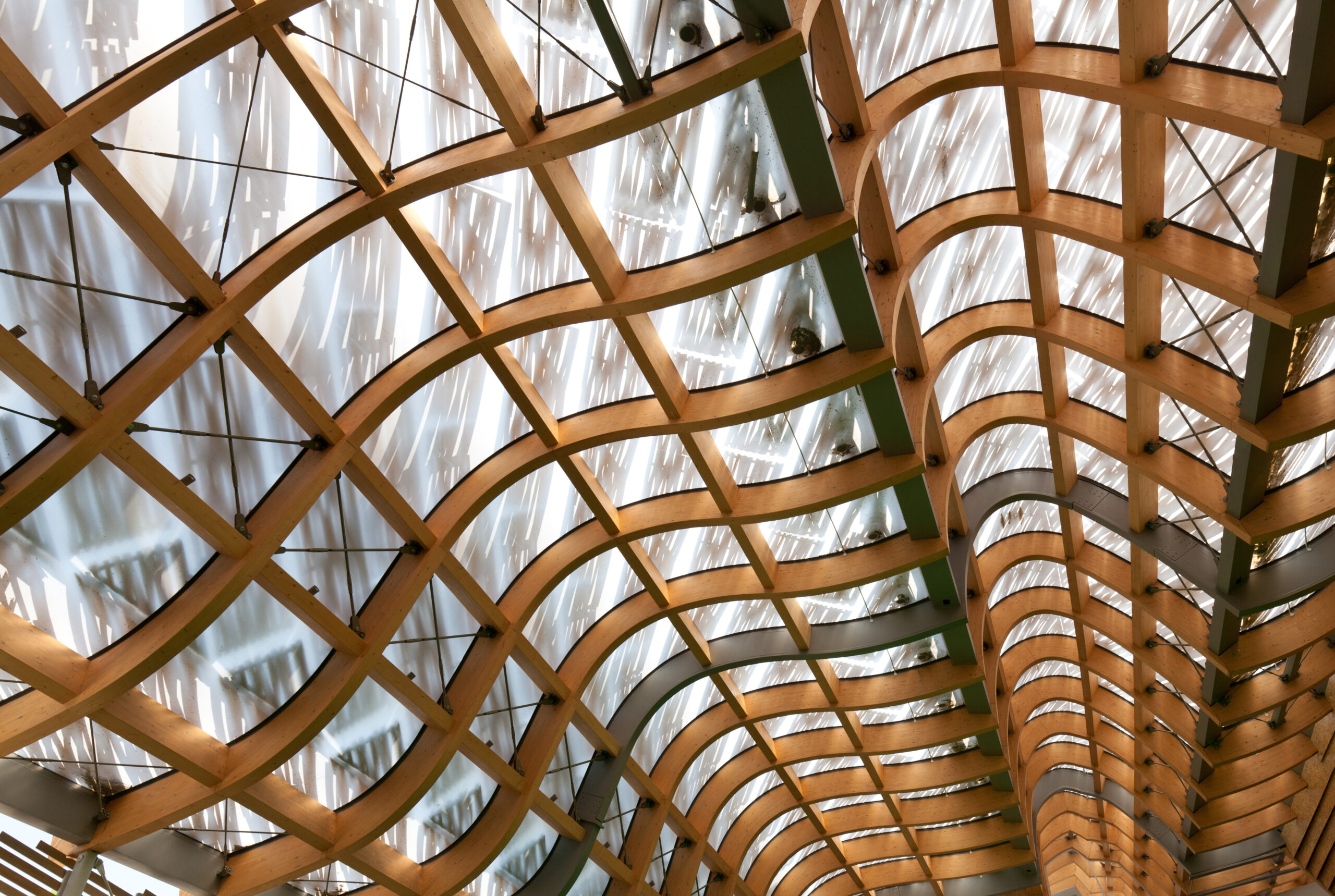 detail of modern wood roof structure